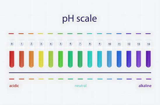 pH Scale Visualization: An informative illustration showcases the pH scale, vividly displaying the range from acidic to alkaline solutions through a spectrum of colors. 