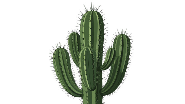 Large green saguaro cactus with many arms and sharp needles is depicted in a detailed illustration against a plain white background.