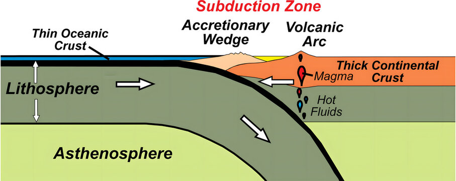 Geological Diagram of Subduction Zone: A clear illustration displays the intricate processes within a subduction zone, revealing the interactions between the earth's layers, crustal formations.