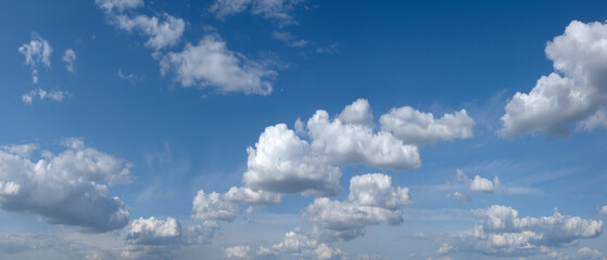 Fototapeta premium Heaven blue wide panorama of sky with many white clouds.