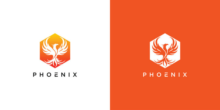 Creative phoenix logo design with modern concept premium vector