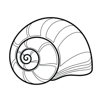 Simple black and white outline drawing of a spiral snail shell, perfect for coloring or as a graphic element.