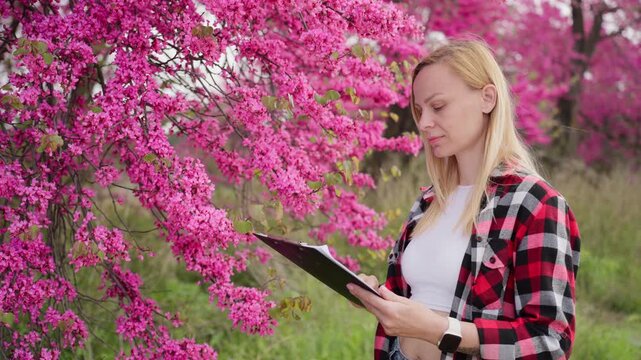 Female agronomist check flowering tree health and analyzing plant data on clipboard, stand in bloom pink orchard during springtime. Concept of modern agriculture, crop monitoring, seasonal farm work