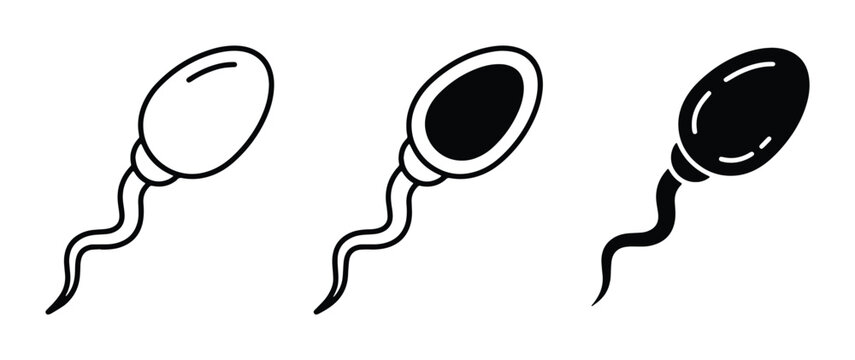vector sperm cell illustrations for reproductive health awareness campaigns