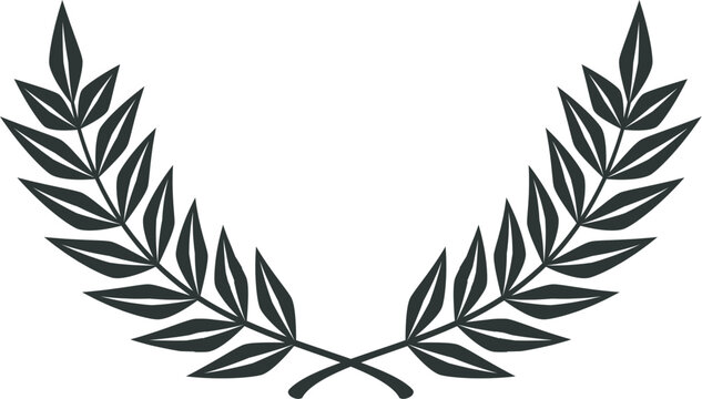 Black and white minimalist pine tree branch needle