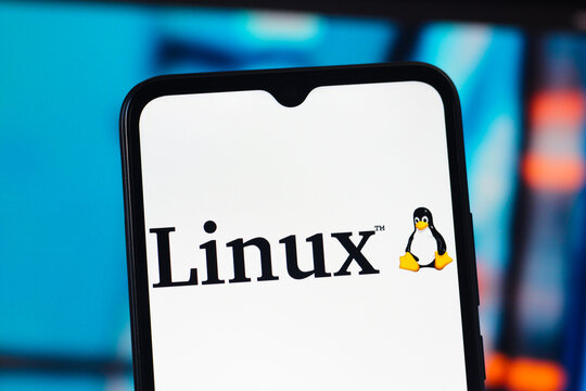 In this photo illustration, the Linux logo is seen displayed on a smartphone screen.