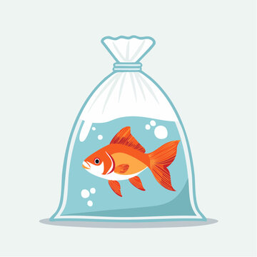 Goldfish in a Plastic Bag