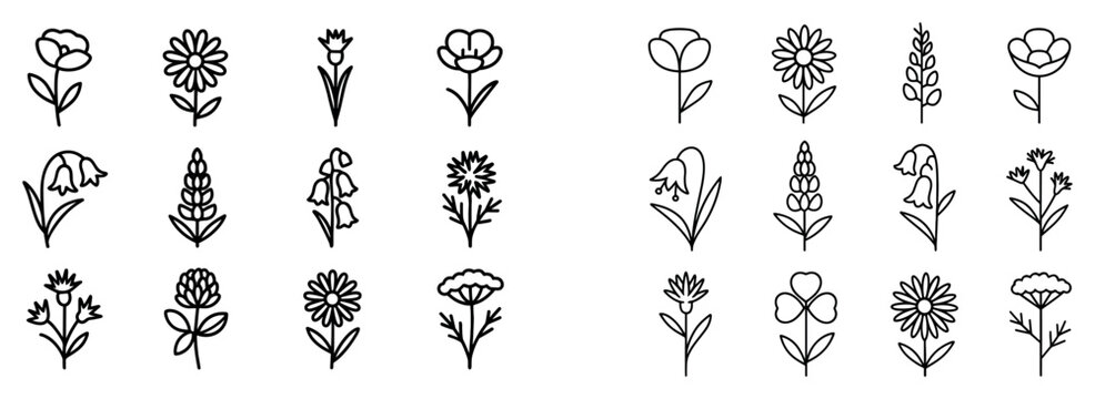 Botanical icons with rose daisy tulip minimal