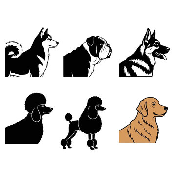 Collection of dog breed silhouettes and illustrations