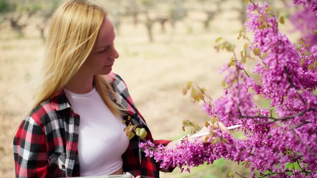 Female agronomist inspecting blooming orchard trees while using digital tools for monitoring plant health and analyzing agricultural data in modern smart farming.