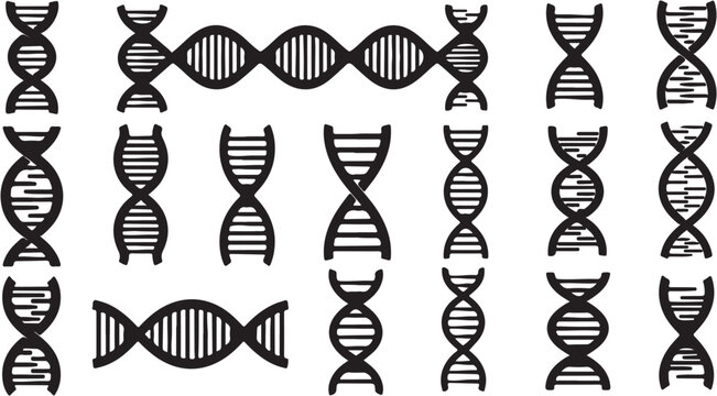 Set of various DNA helix structures representing genetics and biology.