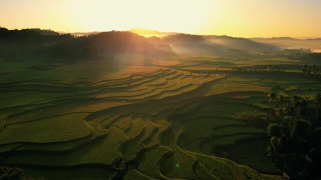 Waikacura Waterfall Cascading Through Lush Rice Terraces in West Sumba