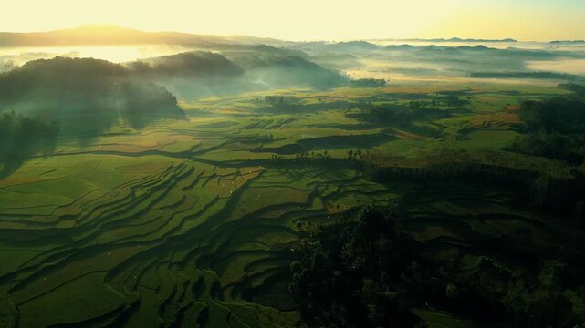 Waikacura Waterfall Cascading Through Lush Rice Terraces in West Sumba