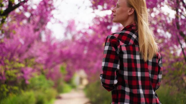 Modern agronomist woman analyzing tree cultivation data on a digital tablet, walking through a beautiful blooming purple orchard during springtime while working on smart farming management