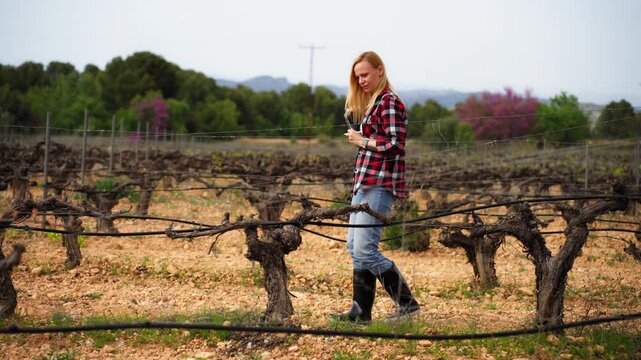 Female farmer inspecting vineyard with clipboard in spring agriculture. Agronomist checking grapevines and making notes for wine production in a rural farm field