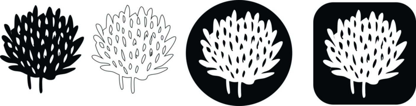 Minimalist black and white of a bushy plant or coral structure organic nature