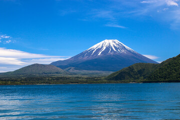 Fototapeta premium 本栖湖から見た初夏の富士山