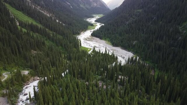 Aerial view of a wide mountain river valley with dense spruce forest and winding road, cinematic wilderness exploration, Tian Shan mountains, Kyrgyzstan, Karakol. High quality 4k footage