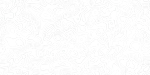 Fototapeta premium Soft Neutral Topographic Lines Texture Minimal Wallpaper
