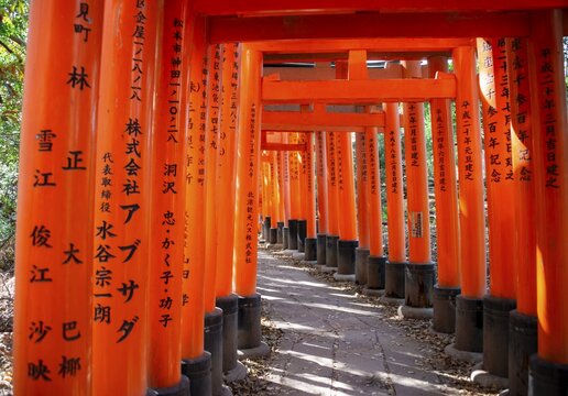 Walk through hundreds of red traditional torii gates, Fushimi Inari Taisha, Shinto Shrine, Fushimi Inari-taisha Okusha Hohaisho, Kyoto, Japan