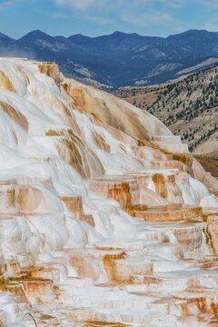 Sinter terraces with calcareous tuff deposits, hot springs, colorful mineral deposits, Palette Springs, Lower Terraces, Mammoth Hot Springs, Yellowstone National Park, Wyoming, USA