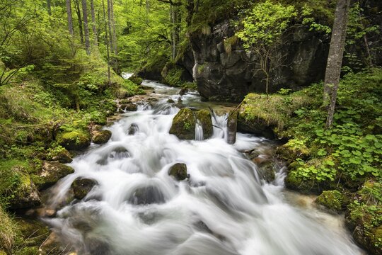 Torrent in Hartelsgraben, Ges&auml;use National Park, Styria, Austria