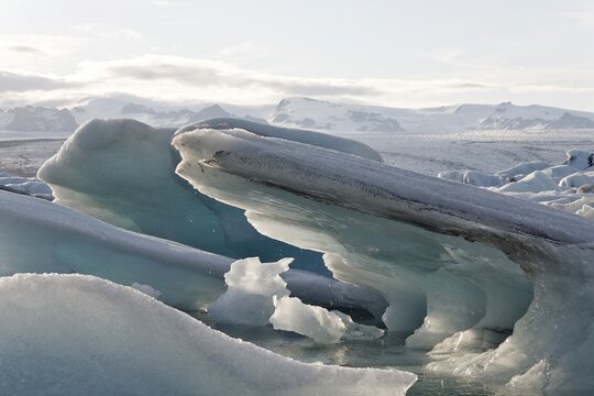 Icebergs, the darker ones coloured by volcanic ash, Joekulsarlon glacial lake, southern coast of Iceland, Atlantic Ocean