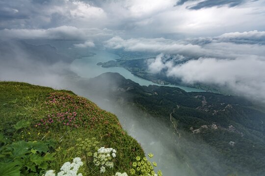 Cloud-covered lake, view of the Mondsee from the summit of the Schafberg, Salzkammergut, Salzburg, Austria