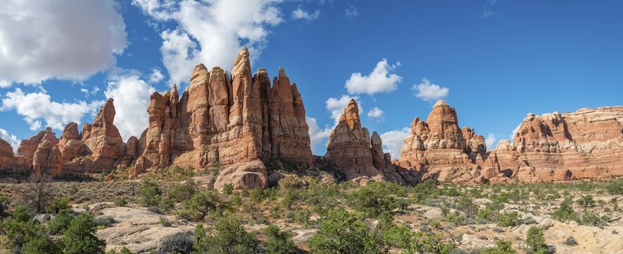 Rock needles, rock formations at Cheslar Park, The Needles District, Canyonlands National Park, Utah, USA