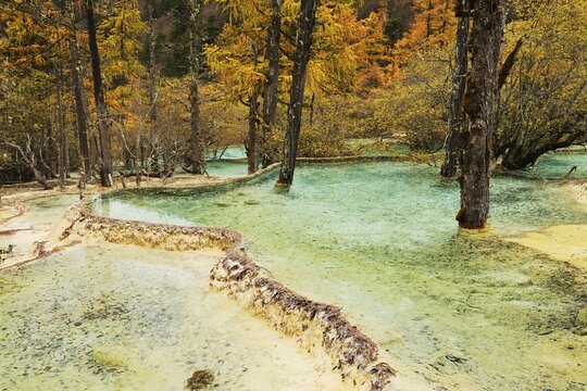 Lime terraces with lake in autumnal environment, Huanglong National Park, Sichuan Province, China