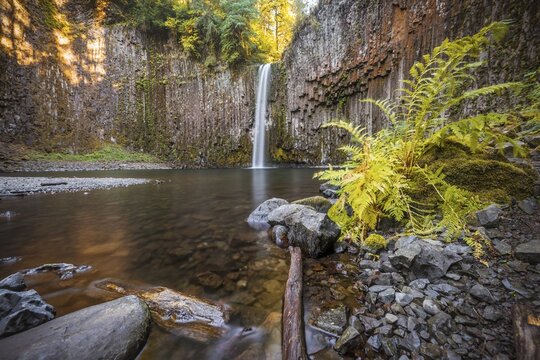 Waterfall, Abiqua Falls, Oregon, USA
