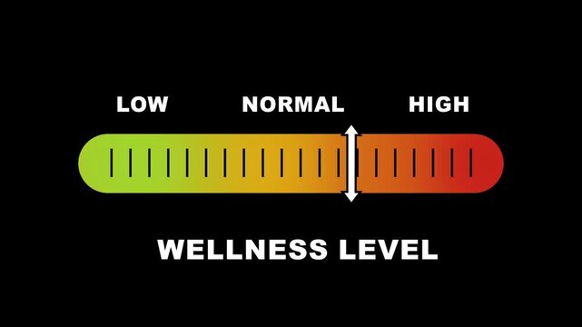 Wellness level indicator scale. Low normal & high meter infographic animation on black background. Showing high wellness level color gauge indicator for health and lifestyle monitoring.