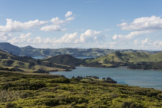 Hoopers Inlet, Inlet in green hilly landscape, Dunedin, Otago Peninsula, South Island, New Zealand, Oceania
