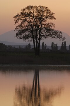 Sunset at Warmsee, Illmitz, Burgenland, Austria