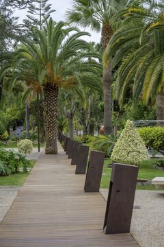 Modern designed part next to the park G&oacute;mez Felipe, Los Llanos, La Palma, Spain