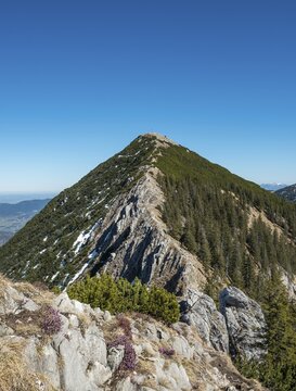 Ridge and summit of the Brecherspitz with remaining snow in spring, Schliersee Alps, Upper Bavaria, Bavaria, Germany