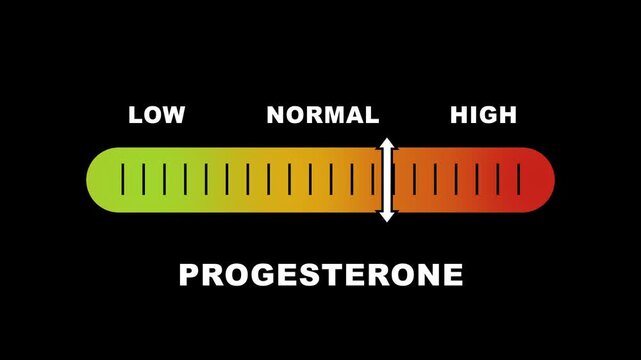Progesterone level indicator scale. Low normal & high meter infographic animation on black background. Showing high progesterone level color gauge indicator for medical hormone and healthcare analysis