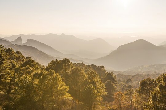 Wooded mountain landscape against light, Mirador Puerto del Boyar, Vale del Boyar, Sierra de Grazalema, Andalusia, Spain