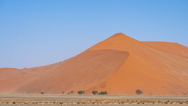 Dune 45, dune, sand dune, Sossusvlei, Namib Desert, Namib-Naukluft National Park, Namibia