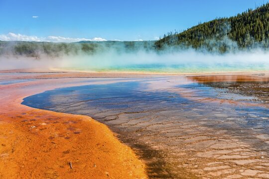 Colored mineral deposits at the edge of the steaming hot spring, detail view, Grand Prismatic Spring, Midway Geyser Basin, Yellowstone National Park, Wyoming, USA