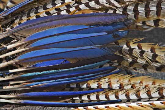An Aztec dance troupe's feather costumes, Vienna, Austria, Europe