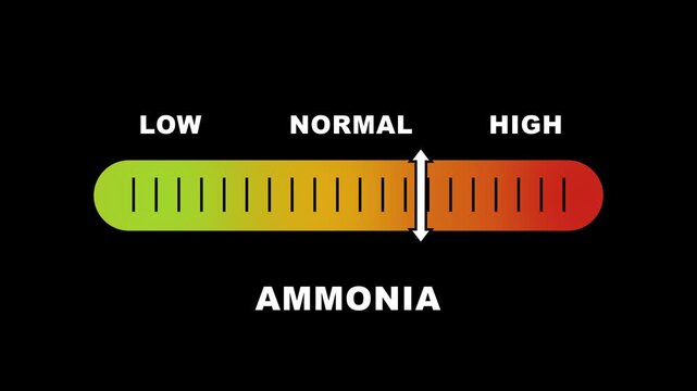 Ammonia level indicator scale. Low normal & high meter infographic animation on black background. Showing high ammonia level color gauge indicator for air quality and chemical safety monitoring.