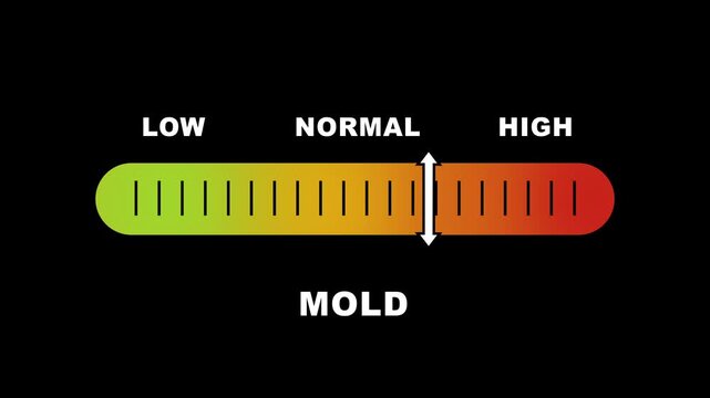 Mold level indicator scale. Low Normal High meter infographic animation on black background. Animation showing high mold level color gauge indicator for air quality and health safety monitoring.