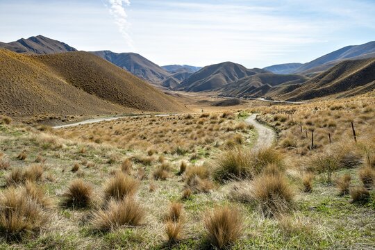 Barren mountain landscape with tufts of grass, Lindis Pass, Southern Alps, Otago, South Island, New Zealand