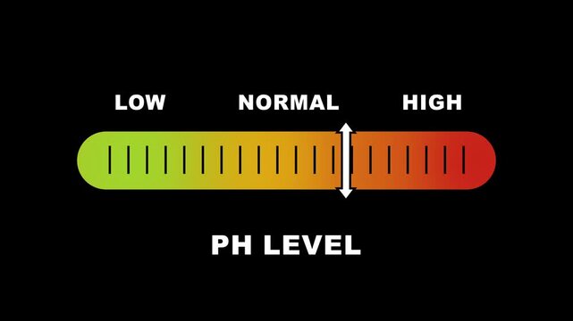 PH level indicator scale. Acidic Neutral Alkaline Low normal high stress meter infographic animation on black background. Animation showing high pH level color gauge indicator for health monitoring.