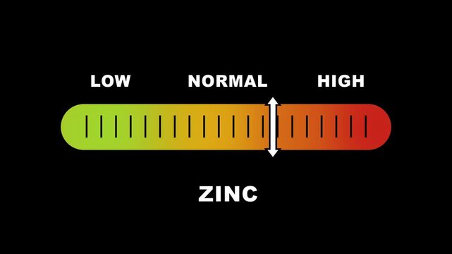 Zinc level indicator scale. Low normal & high meter infographic animation on black background. Showing high zinc level color gauge indicator for nutrition and immune health monitoring