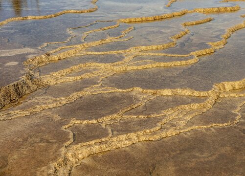 Sinter terraces, hot springs, orange mineral deposits, Palette Springs, Upper Terraces, Mammoth Hot Springs, Yellowstone National Park, Wyoming, USA