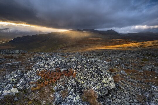 Autumn fell landscape, Sarek National Park, Laponia, Lapland, Sweden