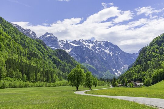 Mountain landscape, road through green meadows in Logar valley, Solcava, Slovenia