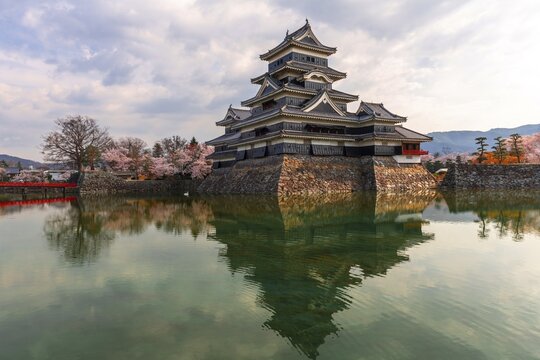 Old Japanese castle reflected in the moat, Matsumoto Castle, Matsumoto, Nagano, Japan
